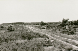 1400-1850: de onvruchtbare, maar o zo nuttige heide 