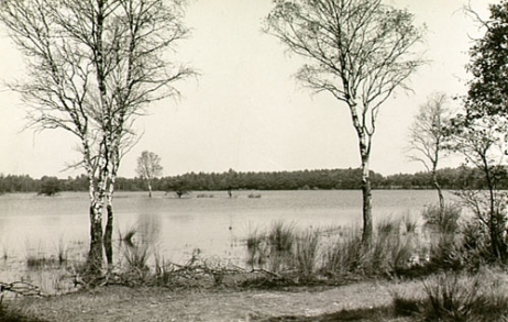 Zuidoost Brabant tot circa 1000: moerassen en bossen