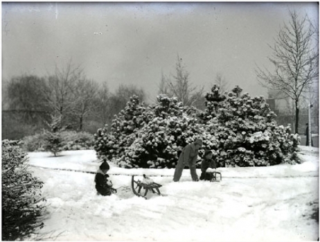 Winter in het Wandelpark.