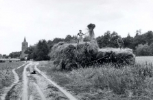 Gebied Hoogeloon, Hapert en Casteren