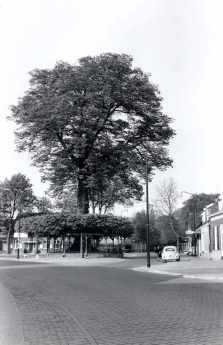 Gebied Nuenen, Gerwen en Nederwetten