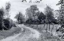 Gebied Vessem, Wintelre en Knegsel