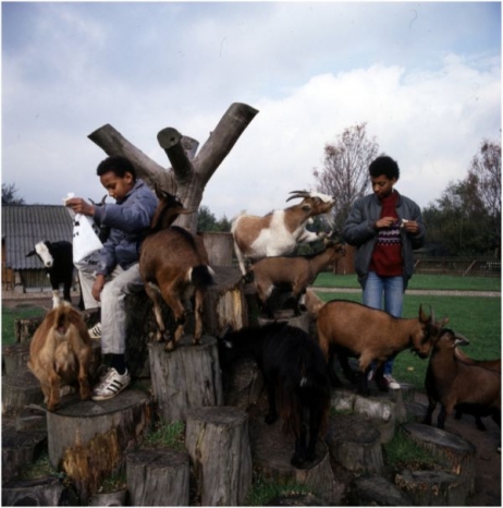 De Kinderboerderij.