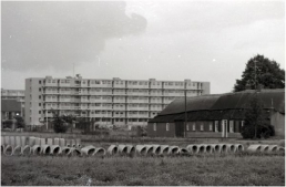 Hoogbouw nadert de boerderij van Hannes de Haas in Vaartbroek, 1961. Fotograaf: H. Scheepers, Beeldcollectie RHCe.