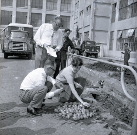 Misperen? Foto:  Frans van Mierlo, Foto Visie - collectie RHCe.