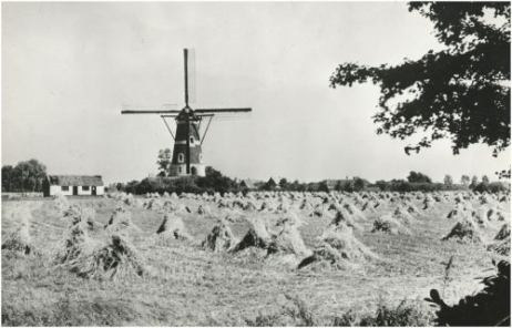 Molen de Roosdonk.