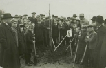 De eerste boomplantdag in Helmond